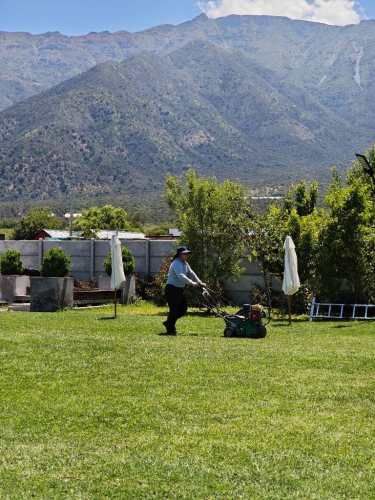 Ayudante jardinería