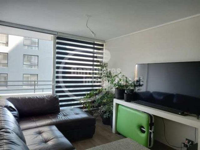 DEPARTAMENTO Los Clarines / Municipalidad de Macul