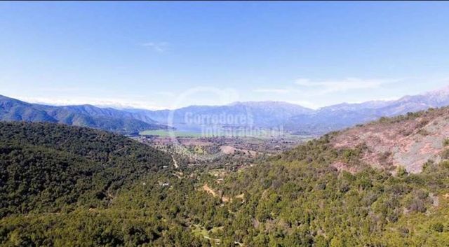 TERRENO CONSTRUCCION Hacienda El Belloto