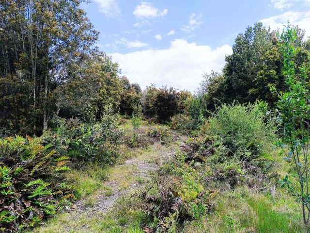 Vendo parcela  a 20km Pto. Varas y 25 de Pto. Montt