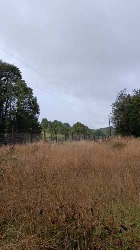 Vendo parcela  a 20km Pto. Varas y 25 de Pto. Montt