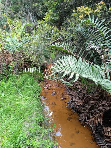 Vendo parcela  a 20km Pto. Varas y 25 de Pto. Montt