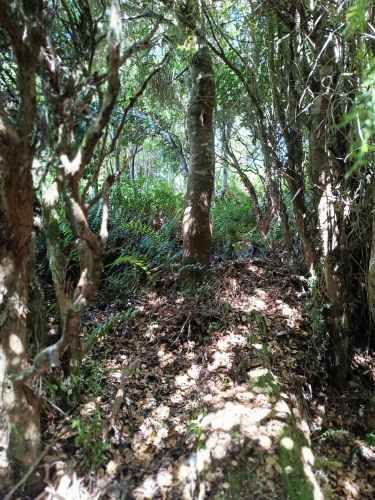 Vendo parcela  a 20km Pto. Varas y 25 de Pto. Montt