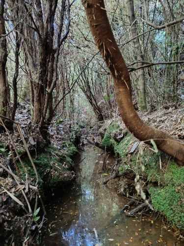 Vendo parcela  a 20km Pto. Varas y 25 de Pto. Montt