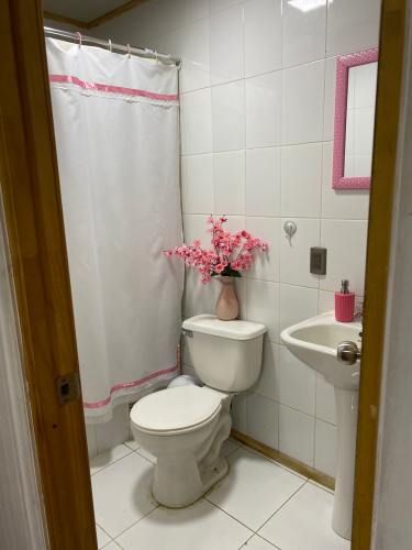 Arriendo Cabaña Miraflores 361 dos habitaciones