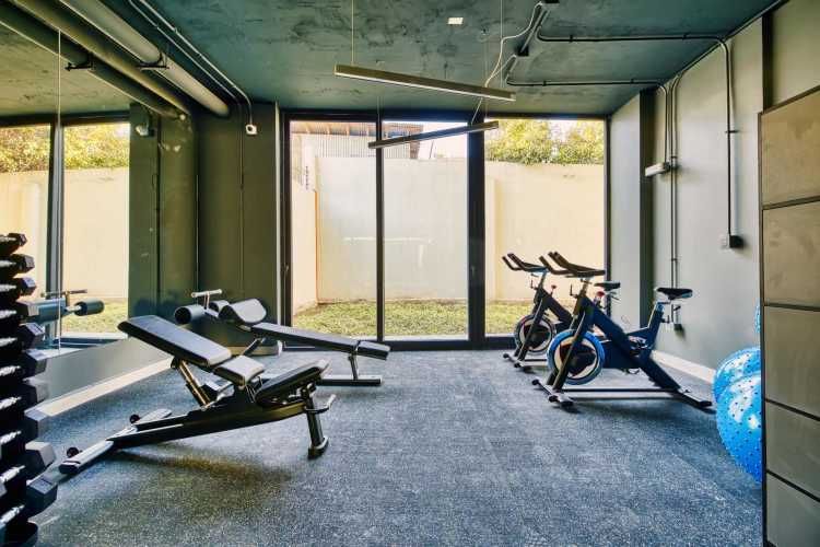 Vive Santa Isabel [2584-1]