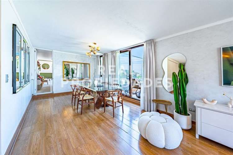 DEPARTAMENTO Penthouse vista despejada