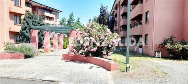 DEPARTAMENTO Camino Viejo a Sauzal