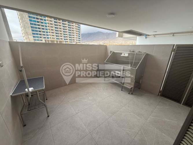 SE ARRIENDA DEPARTAMENTO EN SECTOR NORTE