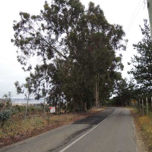 14000 MT ORILLA CAMINO Y VISTA A LA  PLAYA DE TUNQUEN