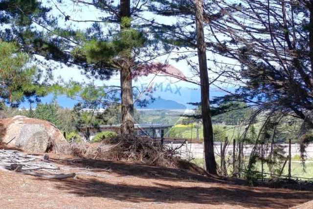 Inversión única en alto punta de lobos