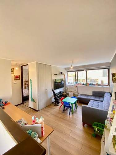 COLEGIO PEDREGALES, SAN ANSELMO, ALEMAN, SAN JOSE, VERBO DIVINO, PIONEROS,ETC.