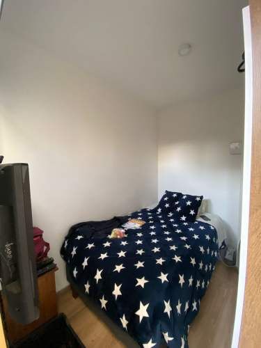 COLEGIO PEDREGALES, SAN ANSELMO, ALEMAN, SAN JOSE, VERBO DIVINO, PIONEROS,ETC.