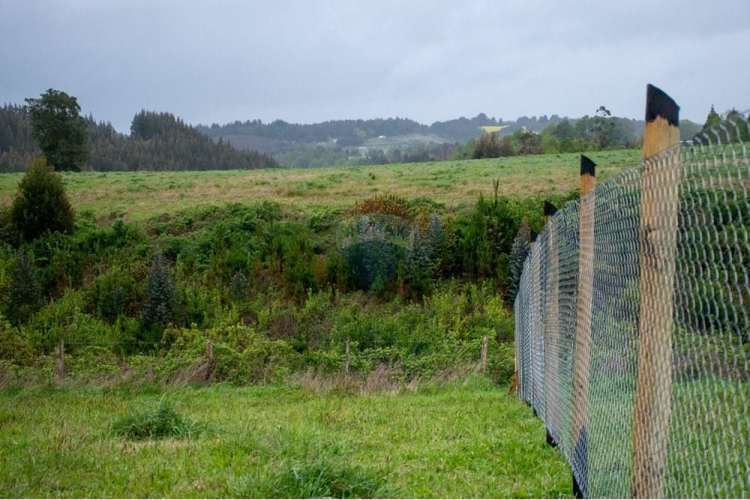 Proyecto de parcelas centinela 1 la unión