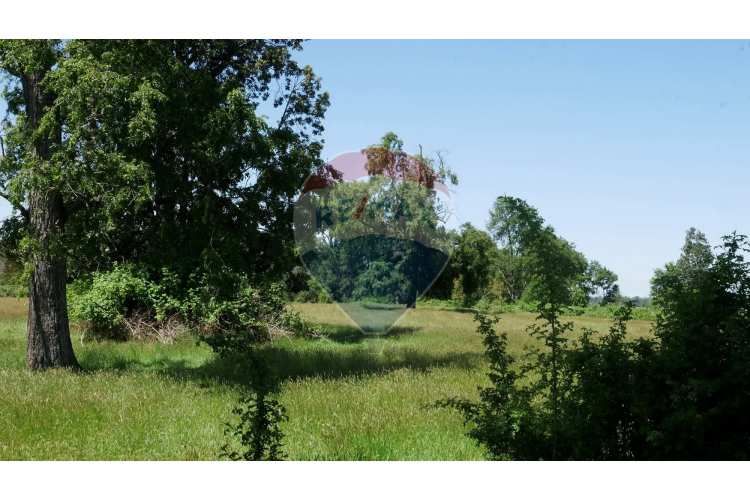 Proyecto de parcelas centinela 1 la unión