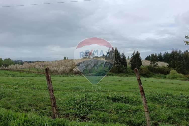 Proyecto de parcelas centinela 1 la unión