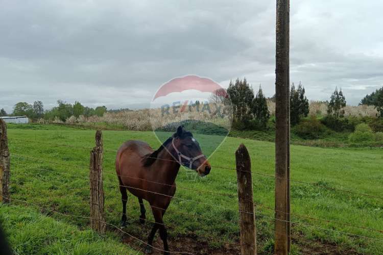 Proyecto de parcelas centinela 1 la unión