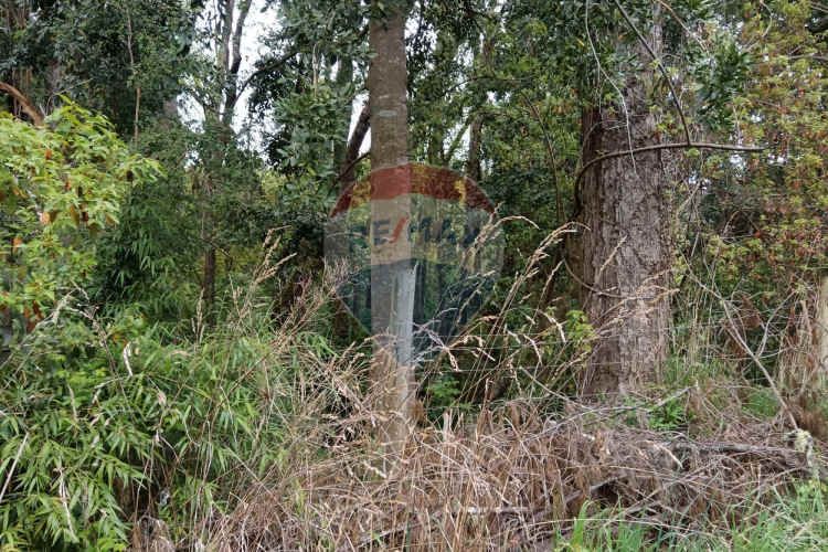 Proyecto de parcelas centinela 1 la unión