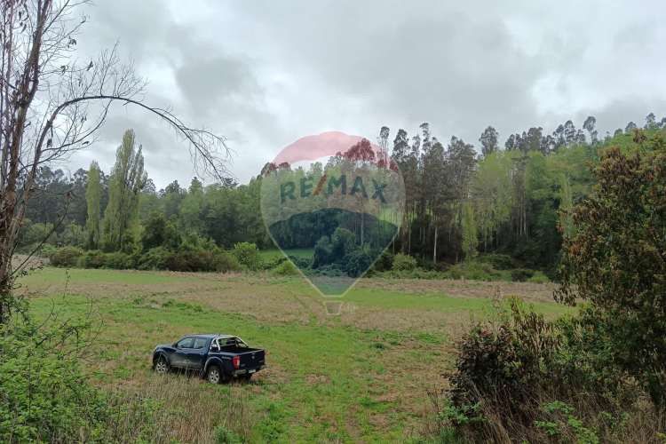 Proyecto de parcelas centinela 1 la unión