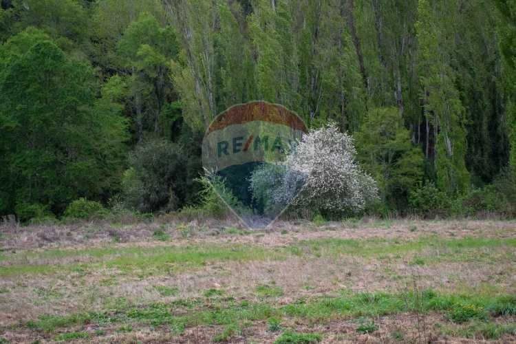 Proyecto de parcelas centinela 1 la unión