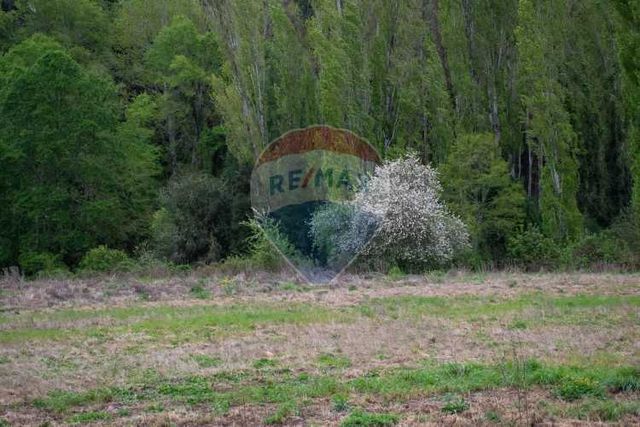 Proyecto de parcelas centinela 1 la unión