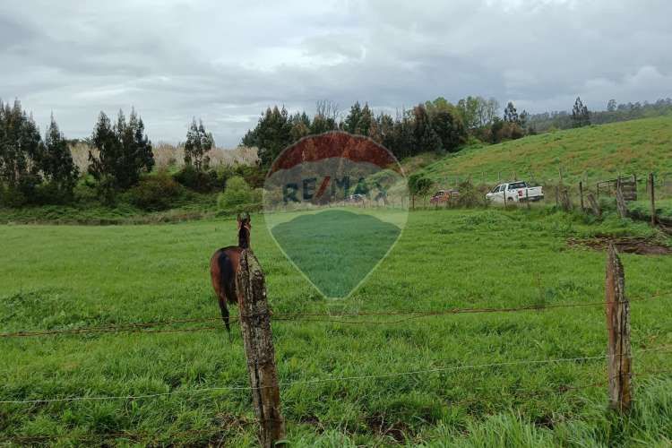 Proyecto de parcelas centinela 1 la unión