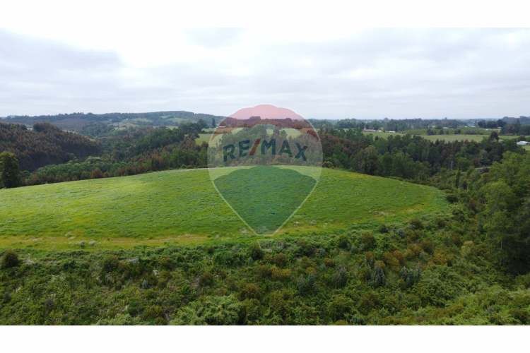 Proyecto de parcelas centinela 1 la unión