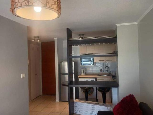 Arriendo Amoblado  Depto 1D y 1B  (133382)