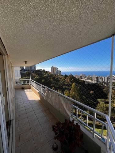 Arriendo Moderno Depto. con Vista Despejada (133401)