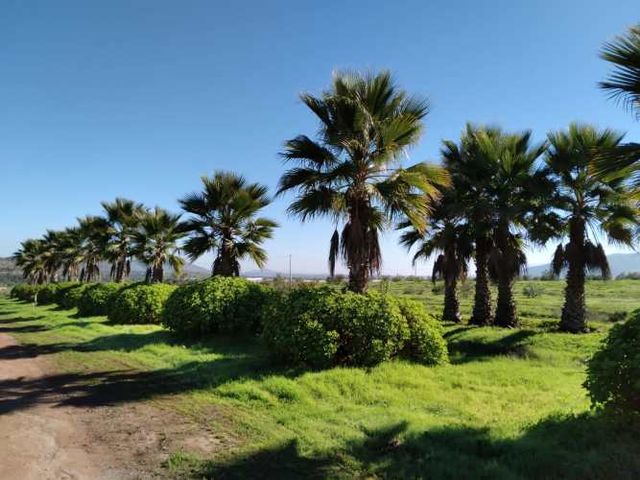 Vive en parcela a minutos de Ovalle y Punitaqui