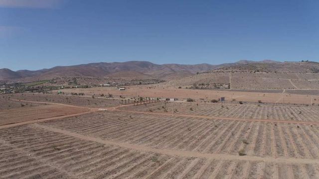 Vive en parcela a minutos de Ovalle y Punitaqui