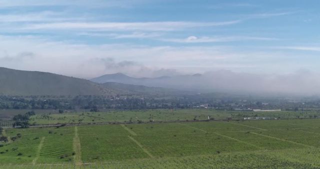 Vive en parcela a minutos de Ovalle y Punitaqui