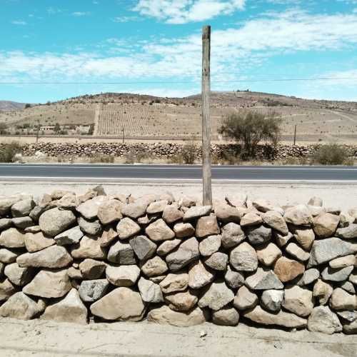 Vive en parcela a minutos de Ovalle y Punitaqui