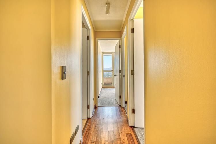 Alma Hipodromo [642-6]