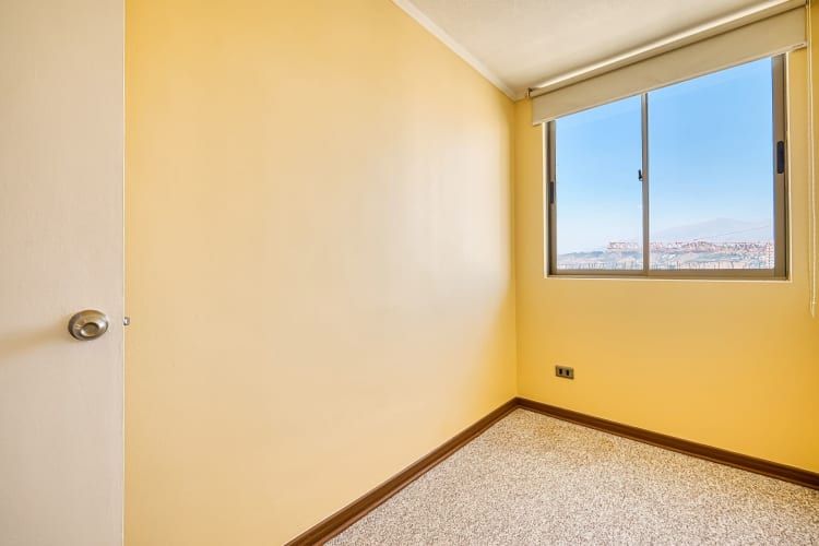 Alma Hipodromo [642-6]