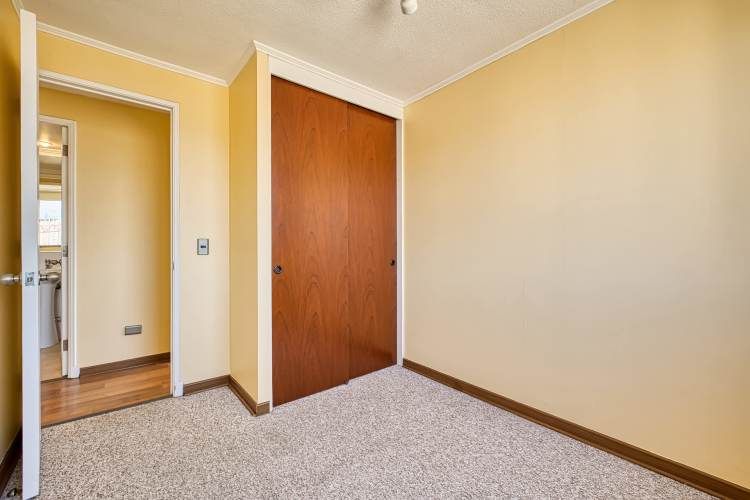 Alma Hipodromo [642-6]