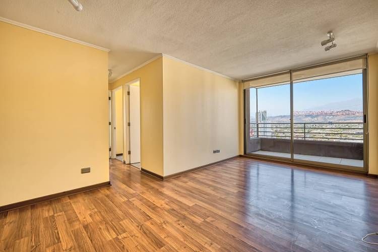 Alma Hipodromo [642-6]