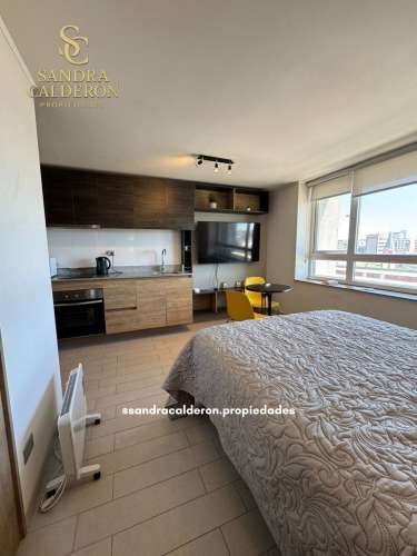 Hermoso y Céntrico Departamento Home-Studio Concepción AMOBLADO