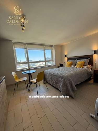 Hermoso y Céntrico Departamento Home-Studio Concepción AMOBLADO