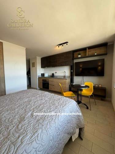 Hermoso y Céntrico Departamento Home-Studio Concepción AMOBLADO