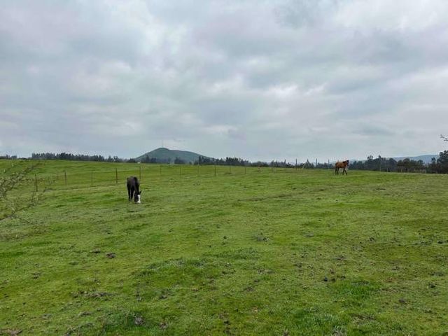 Espectacular Terreno en Codigua - Melipilla (133115)