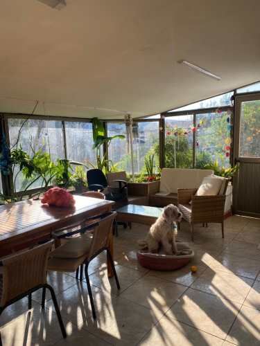 CASA QUINTA- PEÑABLANCA