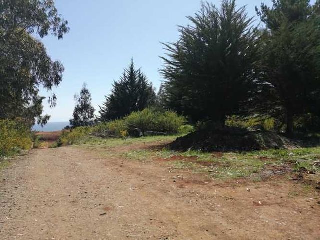 Coliumo, Los Morros, soñado para una cabaña