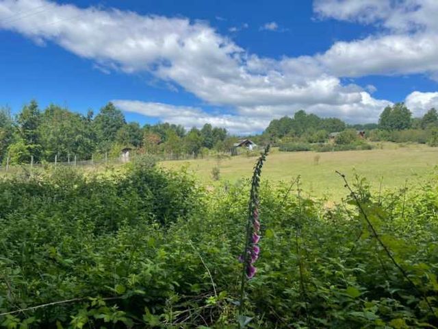 Parcela en venta de 6600m2 ubicado en Villarrica