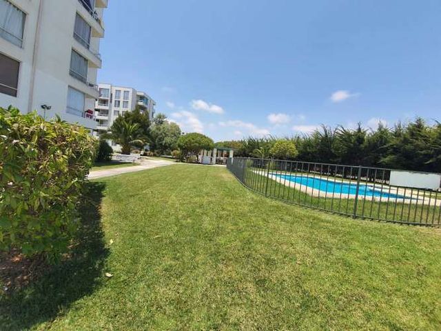 Año corrido Parque Libertad, La Serena (133642)