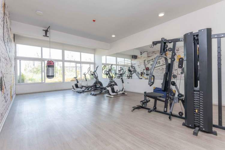 Lago Pirihueico 6502 (1 Est /1 Bod) [589-4]