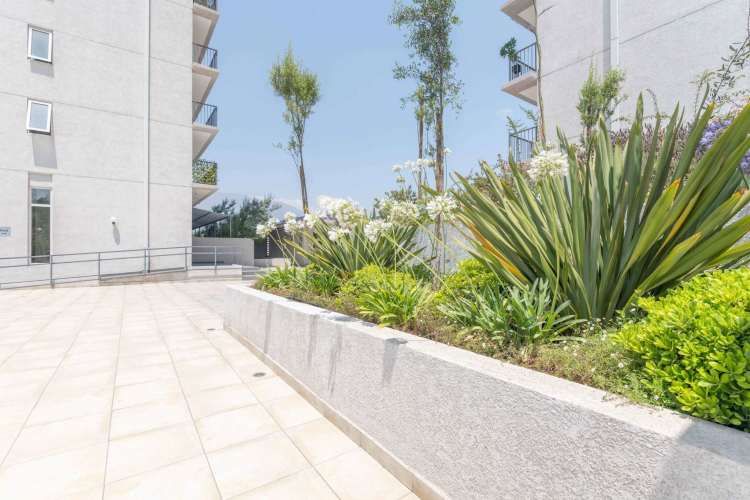 Lago Pirihueico 6502 (1 Est /1 Bod) [589-4]