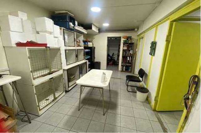 Locales en Galeria Comercial, Valparaiso (133709)