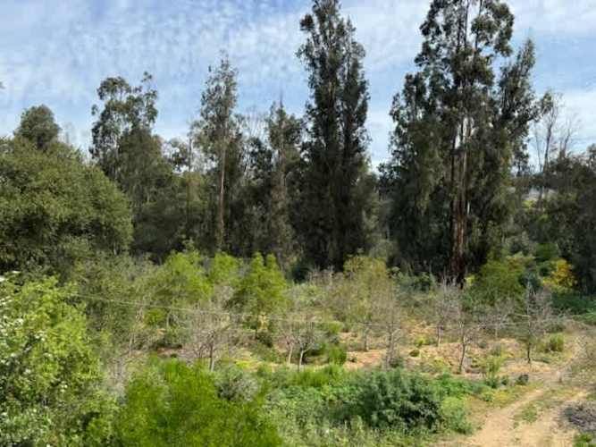 PARCELA FUNDO LOS PERALES-QUILPUÉ