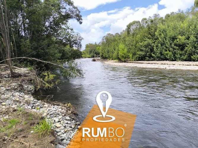 En venta parcela 5.000 m2 sector Maria Luisa, Villarrica